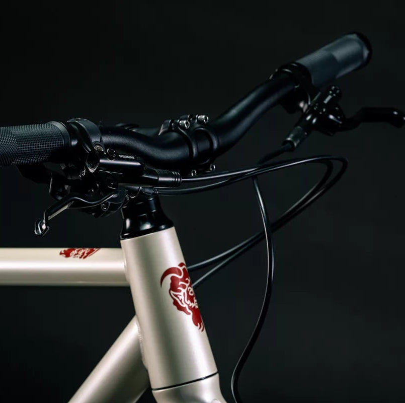 Frenos Shimano MT200 Upgrade