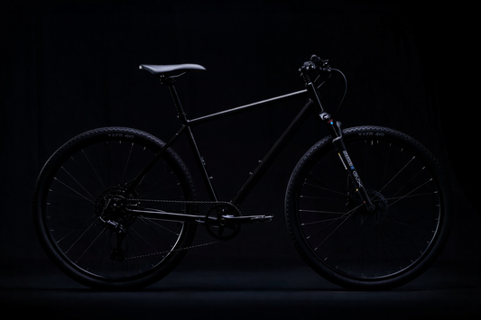 Bicicleta MTB Sileno GVX