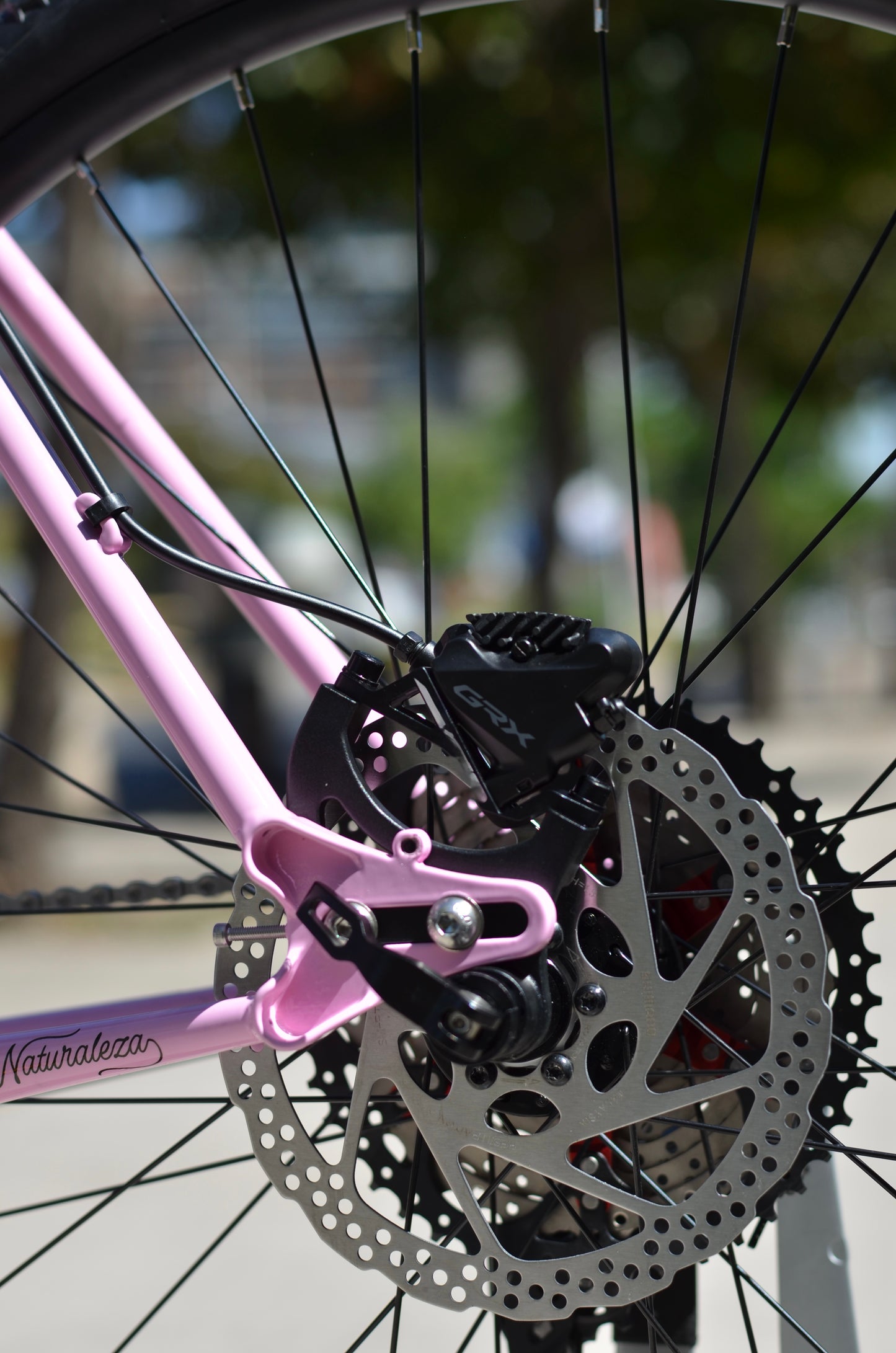 Bicicleta Gravel Sileno Shimano GRX ¡Daimon del Bosque!