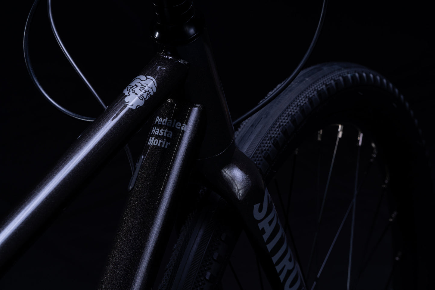 Preventa 5ta Camada (restock) Sátiro Bikes – Reserva Edición Limitada